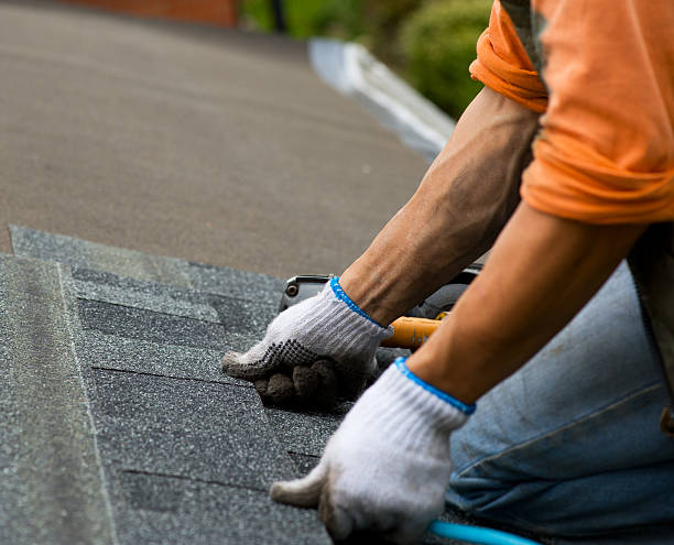 Best Storm Damage Roof Repair  in Elmwood, LA