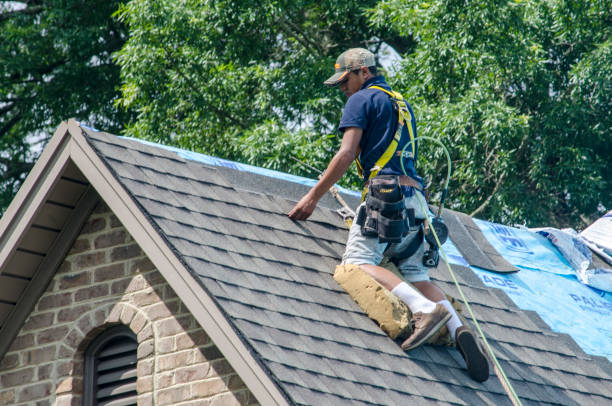 Best Roof Repair Services  in Elmwood, LA